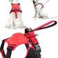Dog Harness and Retractable Leash Set All-in-One🎅 Christmas For The Dog‘s Gift🎅