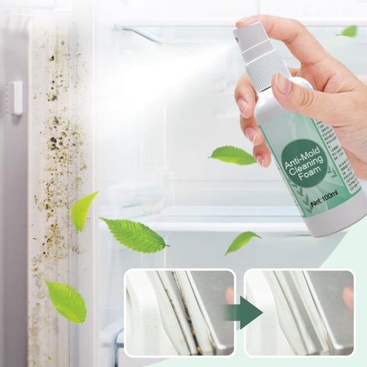 [Practical Gift] Anti-Mold Cleaning Foam